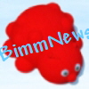 BimmNews