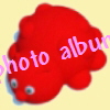 photo album
