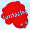 contacter